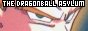 The Dragonball Asylum - A haven for DBZ fans of *all* tastes.
